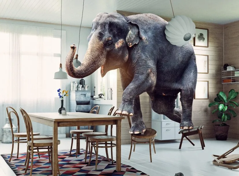 Bezrealitky real estate campaign
